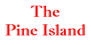 Pine Island Star Reporter